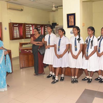 Museum Visits Of School Students